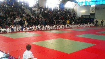 10 tatamijev