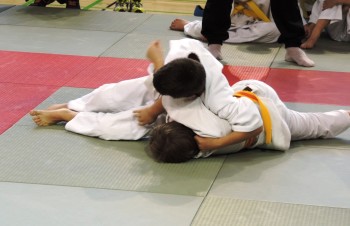Vidov Kesa gatame