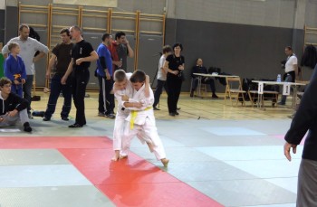 Vidov Koshi guruma